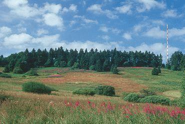 Rhön