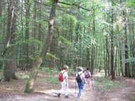 Wandern in der Rhön